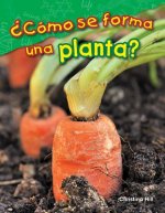 ?Cómo Se Forma Una Planta? (What Makes a Plant?)