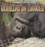 Gorillas in Danger