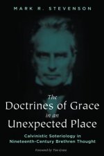 Doctrines of Grace in an Unexpected Place