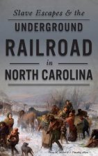 SLAVE ESCAPES & THE UNDERGROUN