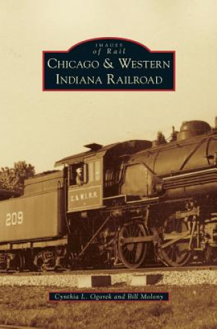 CHICAGO & WESTERN INDIANA RAIL