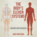 Body's Eleven Systems Anatomy and Physiology