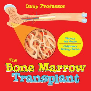 Bone Marrow Transplant - Biology 4th Grade Children's Biology Books