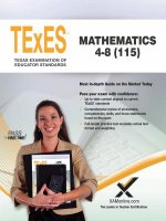 2017 TEXES MATHEMATICS 4-8 (11