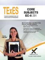 2017 TEXES CORE SUBJECTS EC-6