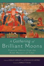 Gathering of Brilliant Moons