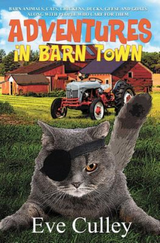 Adventures in Barn Town