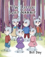 Little Lost Rabbit