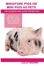 MINIATURE PIGS OR MINI PIGS AS