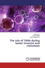 The role of TAMs during tumor invasion and metastasis