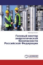 Gazovyj vektor jenergeticheskoj bezopasnosti Rossijskoj Federacii