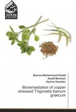 Bioremediation of copper stressed Trigonella foenum graecum