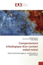 Comportement tribologique d'un contact métal-métal