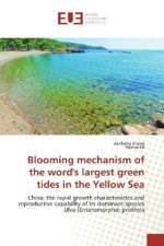 Blooming mechanism of the word's largest green tides in the Yellow Sea