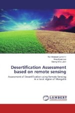 Desertification Assessment based on remote sensing