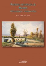 Puentes Históricos de Madrid Tipologías y Evolución