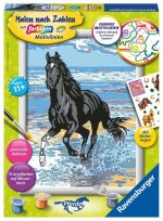 Pferd am Strand. Malen nach Zahlen Serie D Pferde