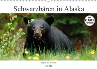 Schwarzbären in Alaska (Wandkalender 2018 DIN A2 quer)