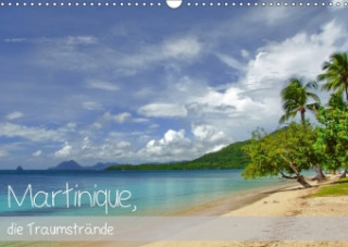 Martinique, die Traumstrände (Wandkalender 2018 DIN A3 quer)
