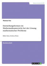 Darstellungsformen im Mathematikunterricht bei der Lösung mathematischer Probleme