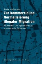 Zur kommerziellen Normalisierung illegaler Migration