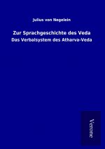 Zur Sprachgeschichte des Veda