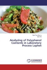Analyzing of Polyphenol Contents in Laboratory Process Laphet