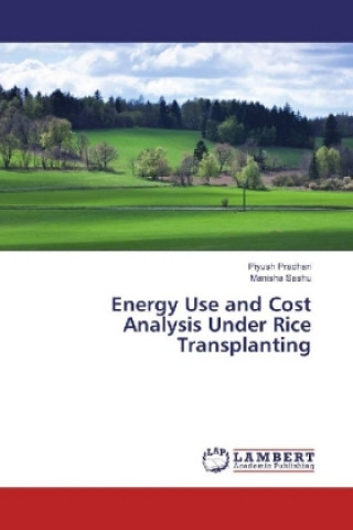 Energy Use and Cost Analysis Under Rice Transplanting