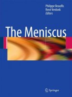 Meniscus