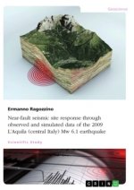 Near-fault seismic site response through observed and simulated data of the 2009 L'Aquila (central Italy) Mw 6.1 earthquake