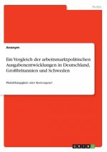 Ein Vergleich der arbeitsmarktpolitischen Ausgabenentwicklungen in Deutschland, Großbritannien und Schweden