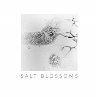 Salt Blossoms