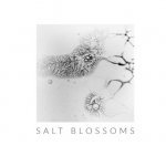 Salt Blossoms