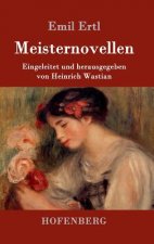 Meisternovellen