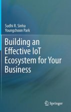 Building an Effective IoT Ecosystem for Your Business