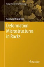 Deformation Microstructures in Rocks