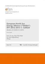 European North Sea Energy Alliance (?ENSEA?) FP7-2012-2013-1: 320024. (Duration: 01.10.2012-31.12.2015) Final Report
