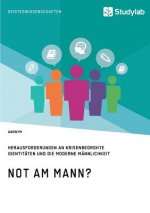 Not am Mann? Herausforderungen an krisenbedrohte Identitaten und die moderne Mannlichkeit