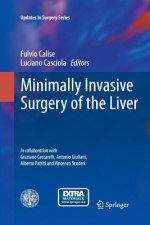 Minimally Invasive Surgery of the Liver