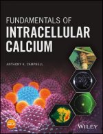 Fundamentals of Intracellular Calcium
