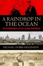 Raindrop in the Ocean