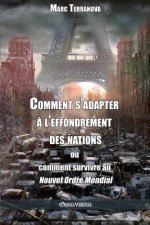 Comment s'adapter a l'effondrement des nations