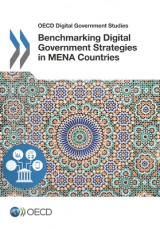 Benchmarking digital government strategies in MENA countries