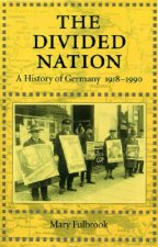 The Divided Nation: A History of Germany, 1918-1990