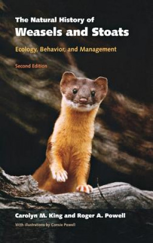 The Natural History of Weasels and Stoats: Ecology, Behavior, and Management