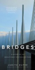 Bridges (New edition)