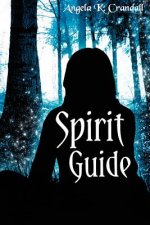 SPIRIT-GD
