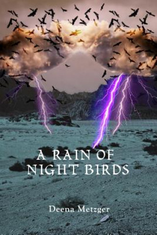 A Rain of Night Birds