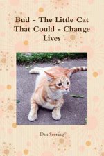 Bud - the Little Cat That Could - Change Lives