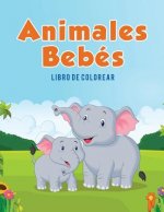 Animales Bebes